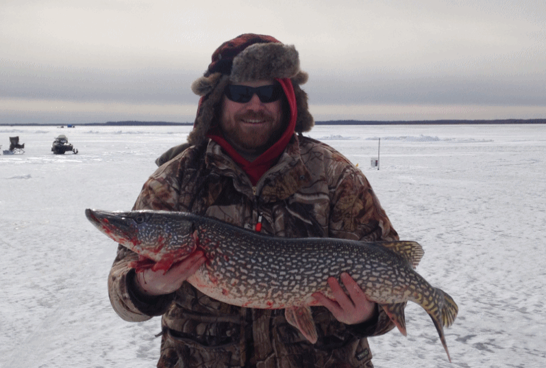 Bum 35 inch pike