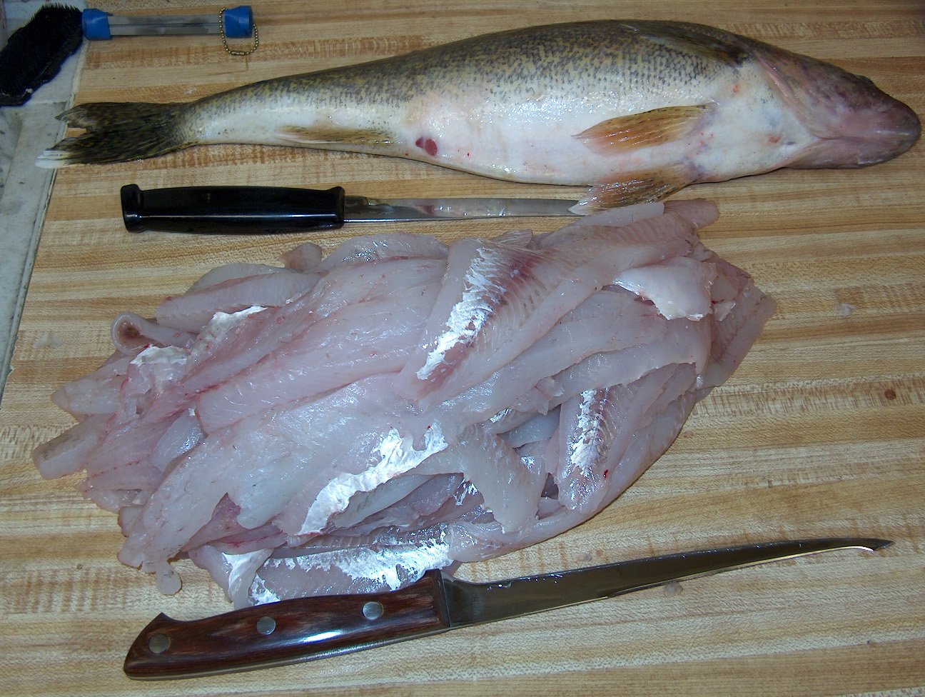 Fillets 1