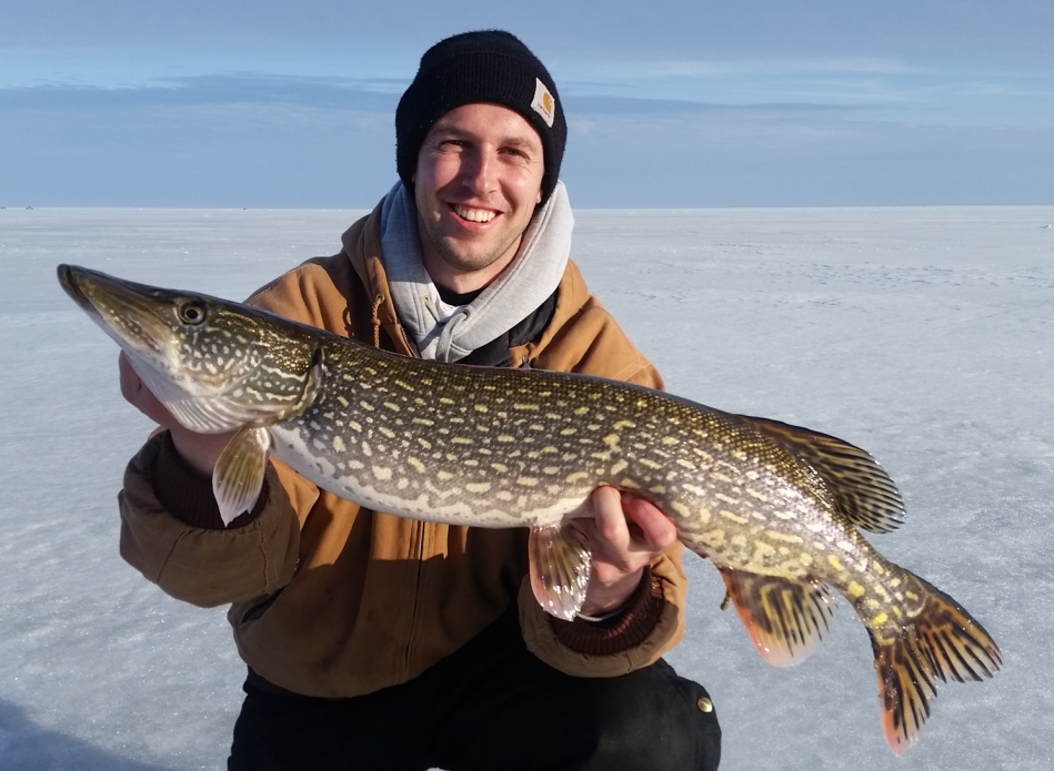 Hernandez 31 Pike