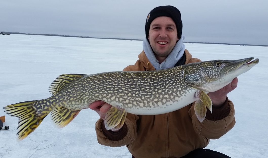 Hernandez 34.5 Pike