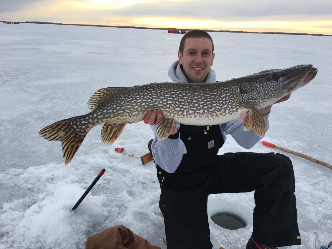 Hernandez 37.5 Pike