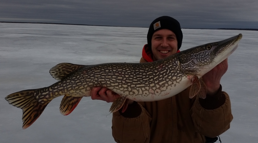 Hernandez 38.5 Pike