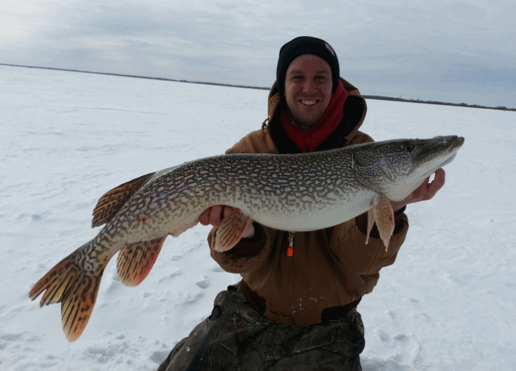 Keith 38.5 inch Pike