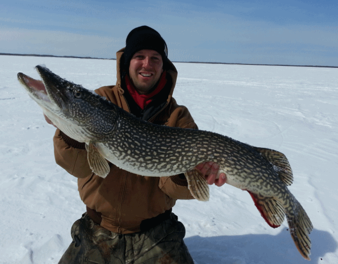 Keith 39 inch Pike
