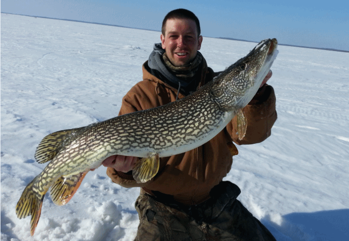 Keith 40.5 inch Pike