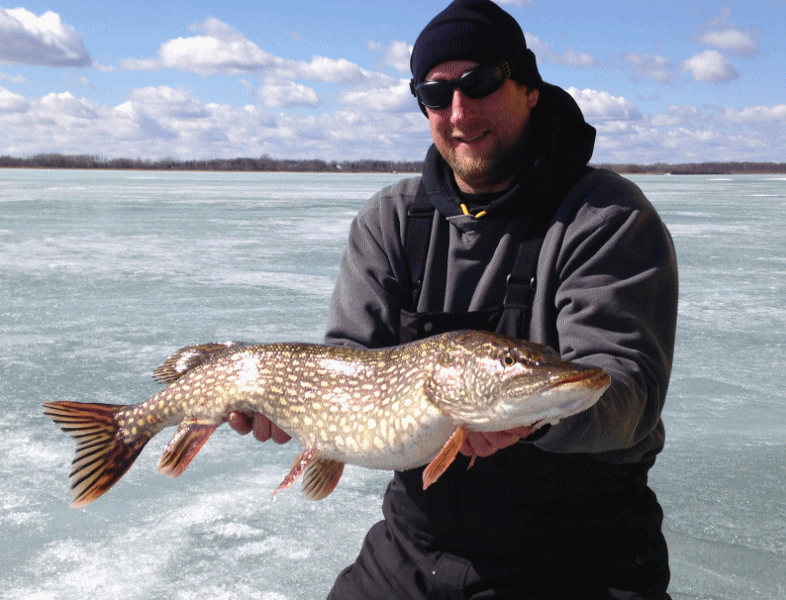 OB 36 inch pike