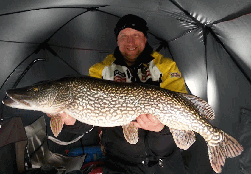 OB 39 inch pike
