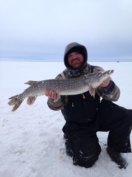 Redbeard 36 inch pike